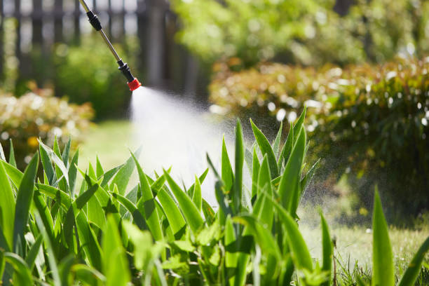 24/7 Emergency Ant Control experts in Oroville East, CA